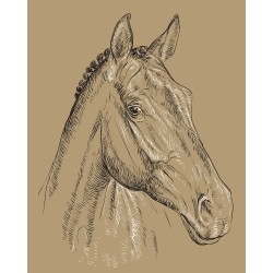 Pferdezeichnungen / Pferdebilder / Pferdeskizzen / Pferdeleinwände / Pferde Leinwand für ReiterInnen, Reitergeschenke