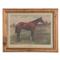 Pferdebilder, Bild Pferd, Bilder Pferde, Vollblutpferde, Pferdestiche, antikes Rennpferdebild